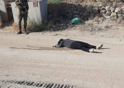 Ghofran Warasnah2.jpg