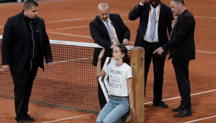 alize.jpg