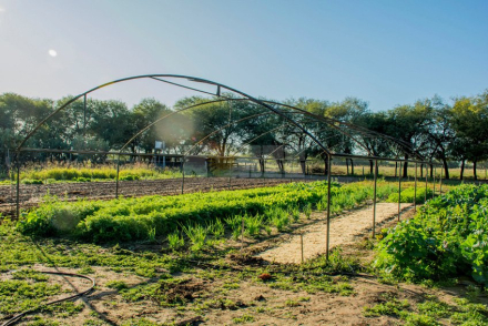 escuela agrotecnica 4.jpg