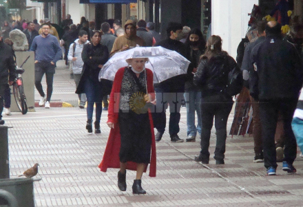 lluvia viejita.JPG