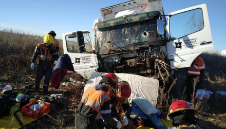camionero2.jpg