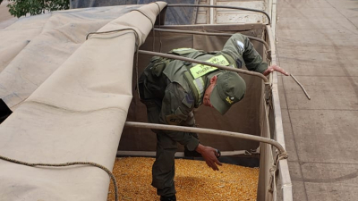 Decomisan mas de 60 toneladas de maiz en Sáenz Peña 
