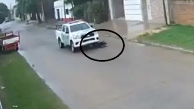 Goya: está preso el policía que atropelló y mató a un perro