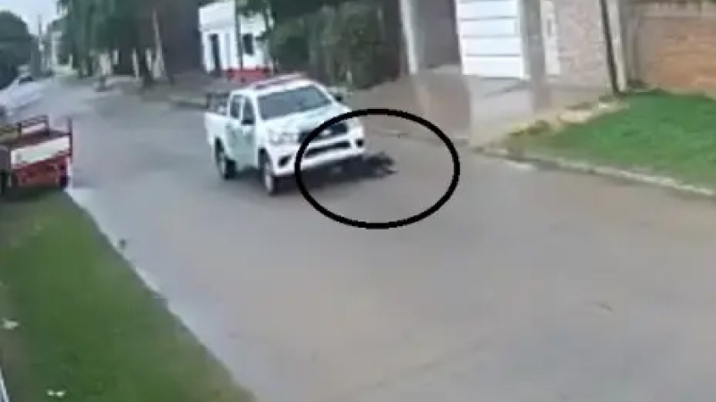 Goya: está preso el policía que atropelló y mató a un perro