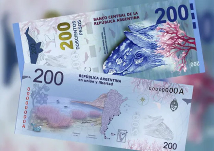 billetes.jpg
