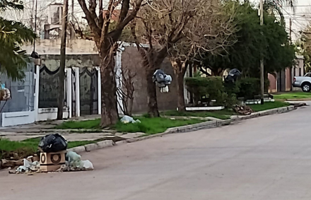 basura.jpg