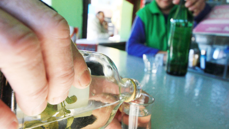 Caña con ruda, la vacuna popular contra los males de agosto