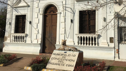 concepcion1.jpg