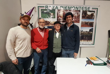 raza-piemontese.jpg