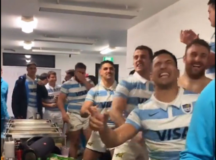 pumas.jpg