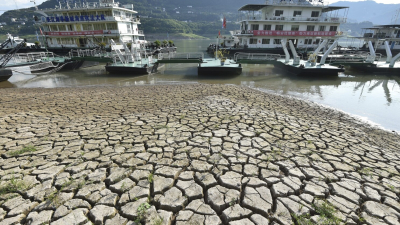 China acelera la investigación sobre cultivos más resistentes