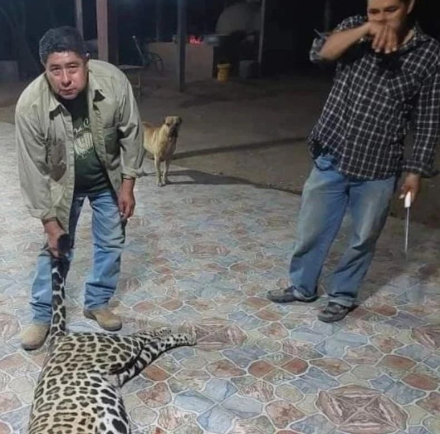 yaguarete asesinado 1.jpg