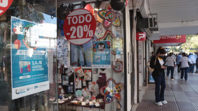 Baja densidad y concentración en dos sectores, radiografía de las mipymes chaqueñas