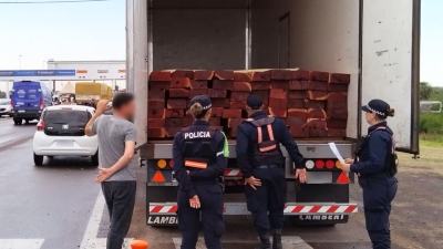Dos camiones transportaban carga forestal sin los permisos correspondientes