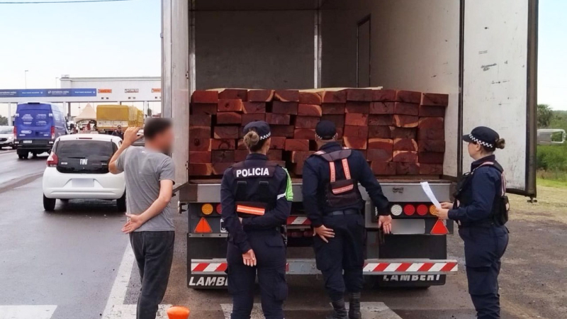 Dos camiones transportaban carga forestal sin los permisos correspondientes