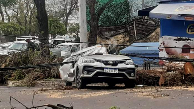 Corrientes: cayó un arbol y provocó destrozos en varios autos