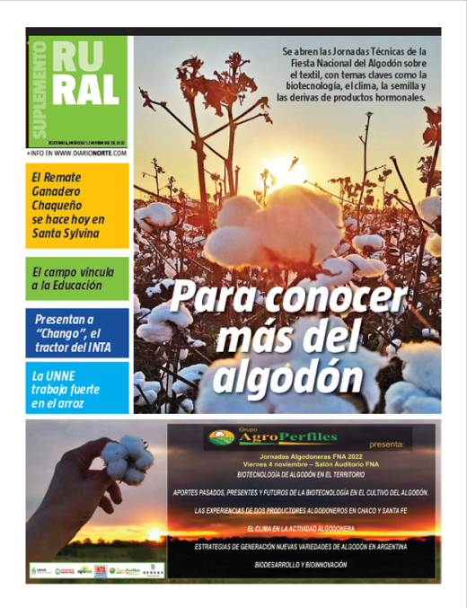 Para conocer más del algodón