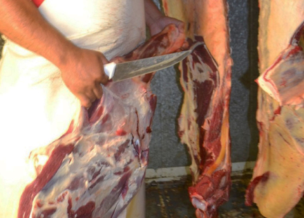 carne.JPG