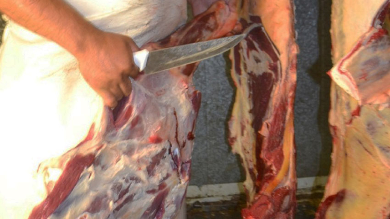 Frigoríficos chaqueños dicen que ni con la prórroga podrían readecuarse