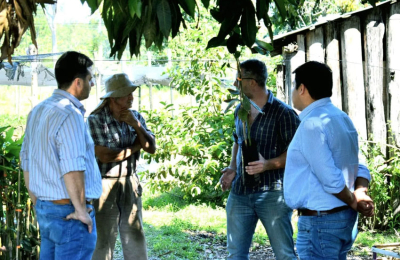 Corrientes pone primera y avanza en el "plan palta"