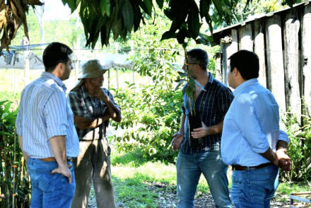 Plan-palta-corrientes.jpg