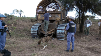 Inspectores de bosques frenan cuatro topadoras en Las Pirámides