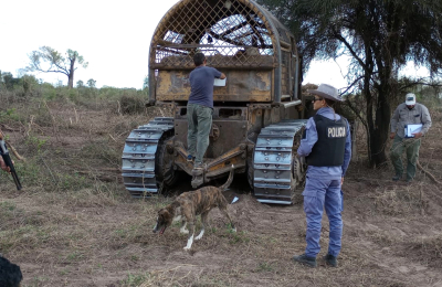 Inspectores de bosques frenan cuatro topadoras en Las Pirámides