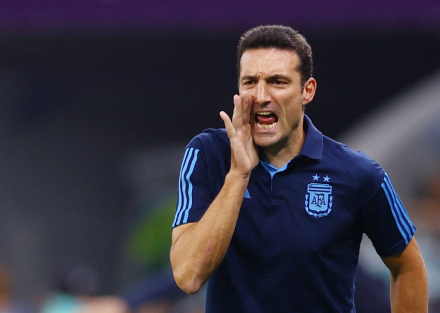 scaloni.JPG
