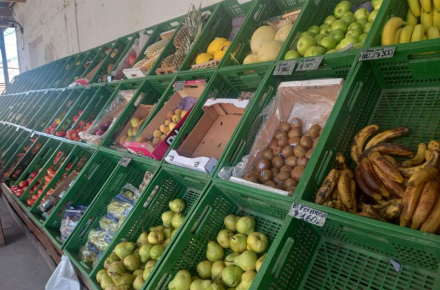 frutas-ok-(1).jpg copy