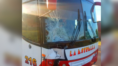 Tragedia en Plaza: caminaba a la vera de la ruta y fue atropellado por un colectivo