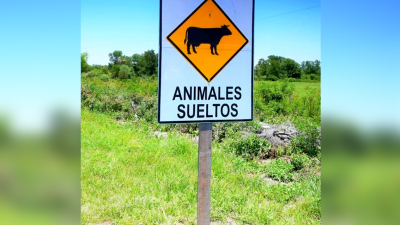 Algo es algo: colocaron carteles indicadores en ruta 4