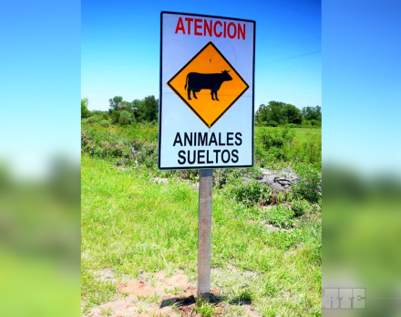 ruta4.jpg