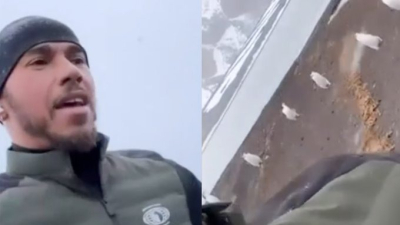Lewis Hamilton entrenó en la Antártida Argentina: tormenta de nieve, pingüinos y lobos marinos