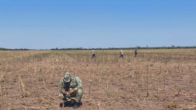 Fumigaciones en zonas no permitidas: en casi dos meses se recibieron nueve denuncias