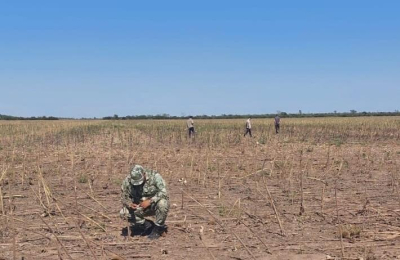 Fumigaciones en zonas no permitidas: en casi dos meses se recibieron nueve denuncias