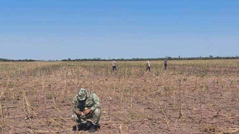 Fumigaciones en zonas no permitidas: en casi dos meses se recibieron nueve denuncias