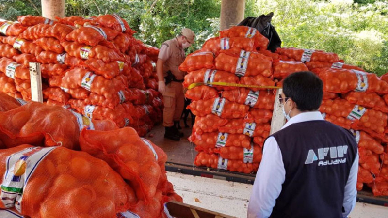 Exportaron 700 toneladas de ajo: no tenían personal y presentaron un terreno baldío