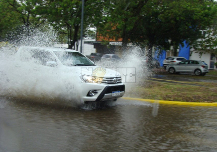 lluvia febrero 2.JPG