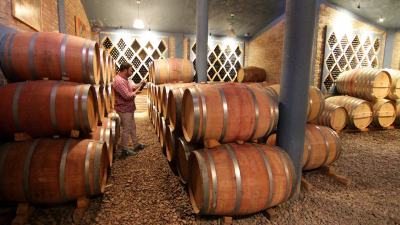 La Ruta del Vino de Tucumán ofrece una variedad única de matices e historias