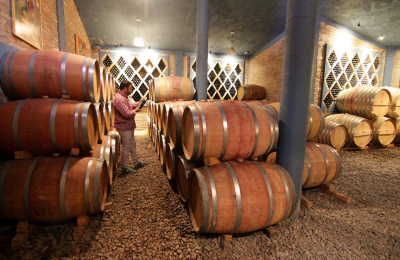 La Ruta del Vino de Tucumán ofrece una variedad única de matices e historias