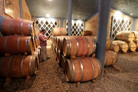 ruta vino1.jpg