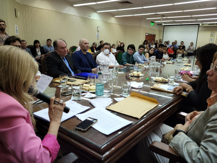 Remoción decano Rosende sesión especial CD FOUNNE (7).jpeg