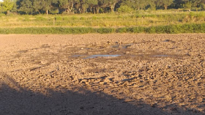 "Se perderán productores porque la situación es asfixiante"
