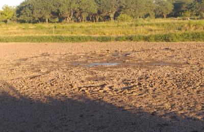 "Se perderán productores porque la situación es asfixiante"