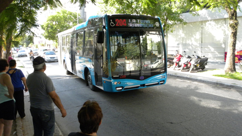 Con 231 coches en la calle, comenzó a funcionar el nuevo sistema de transporte público