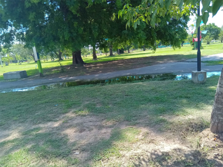 parque.jpg
