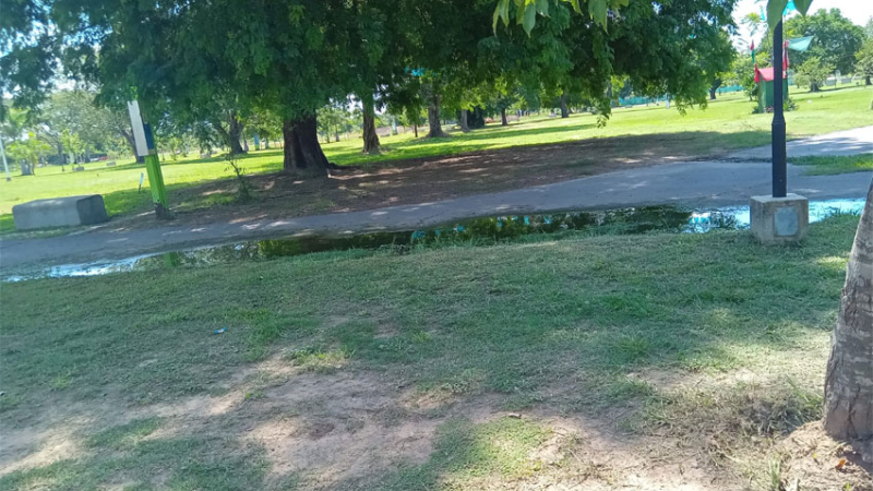 Quejas por pérdida cloacal en el Parque de la Democracia