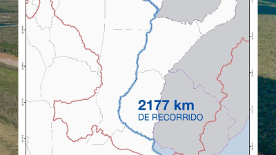 La nutria gigante de El Impenetrable viajó más de 2000 kilómetros hasta cerca de San Clemente del Tuyú