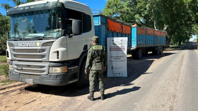 Incautaron 82 toneladas de granos en tres procedimientos