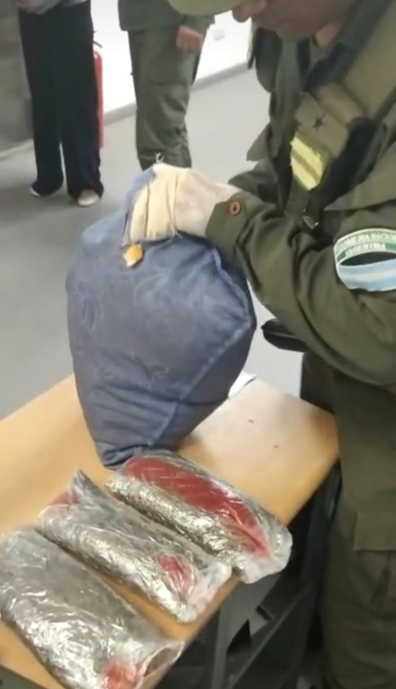 Pasajero viajaba.jpg